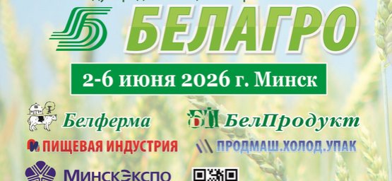 Выставка 